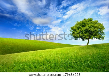 Scenic paradise with a single tree on top of a green hill, blue sky and white clouds and another hilly meadow in the background