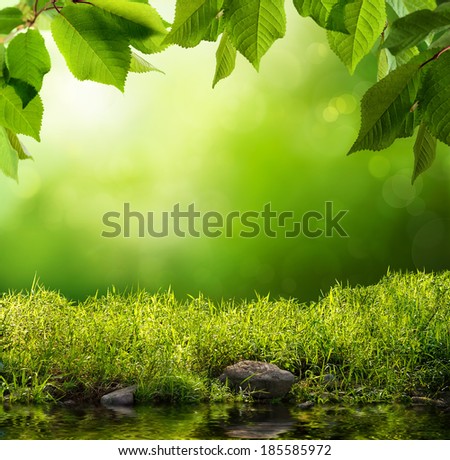 Serene background with grass, leaves, stones and water in the foreground over out of focus trees and sunlight