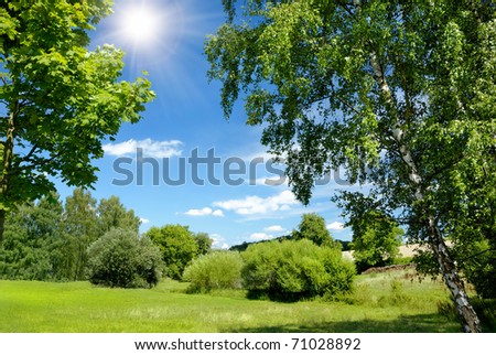 Gorgeous summer landscape bordered with trees at nice sunny weather