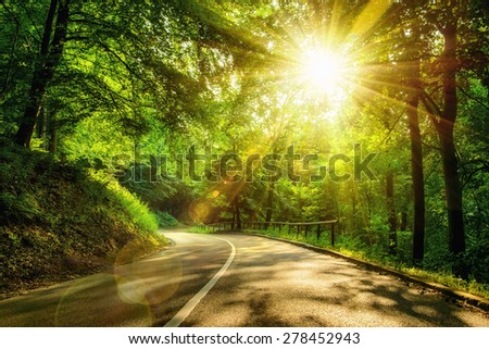 Landscape shot with the gold sun rays illumining a scenic road in a beautiful green forest, with light effects and shadows
