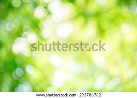 Shining out-of-focus highlights in green leaves create a bright bokeh composition, ideal as a nature background