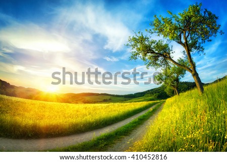 Idyllic rural landscape with meadows. blue sky, a tree and a path leading to the horizon at sunset