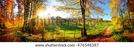 Gorgeous landscape panorama showing a meadow and a path leading into a forest, with autumn colors and blue sky