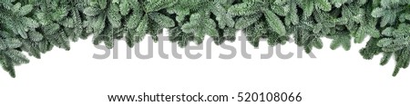 Wide Christmas border arranged with frosted fir branches isolated on white shaped as an arch, banner format