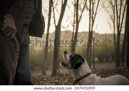 Old man with his dog searching truffle in a forest