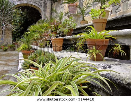 Garden & Horticulture Series - imagery depicting various Mediterranean gardens