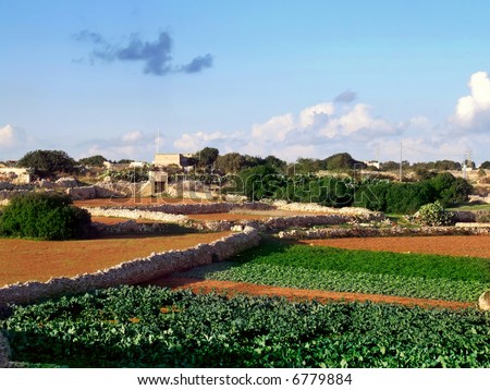 Soil And Crops