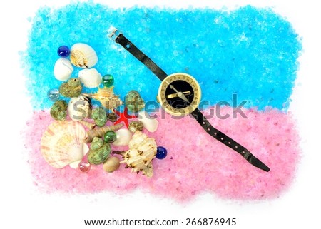 sea shells and a compass with a black strap on blue and pink salt