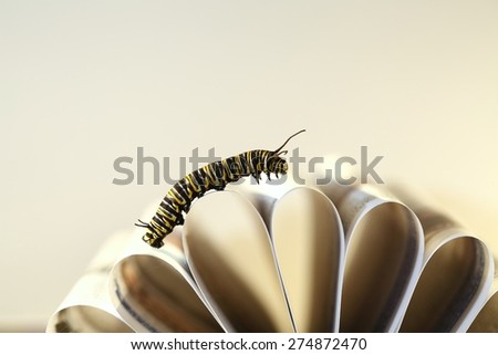 Monarch butterfly caterpillar crawling across curled pages of a book on a white background