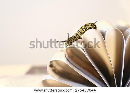 Monarch butterfly caterpillar crawling across curled pages of a book on a white background