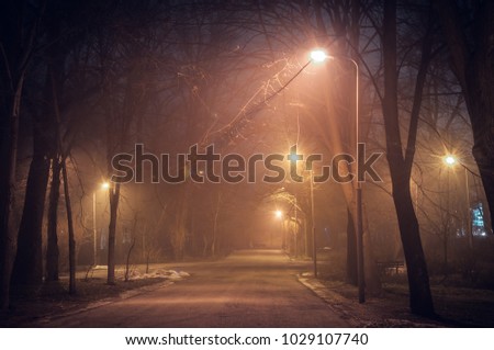 Footpath in a fabulous winter city park at night in fog. Beautiful foggy evening in the park. Kiev, Ukraine.
