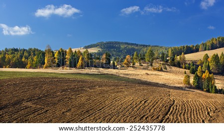Scenery of High Tatras meadows,Slovakia