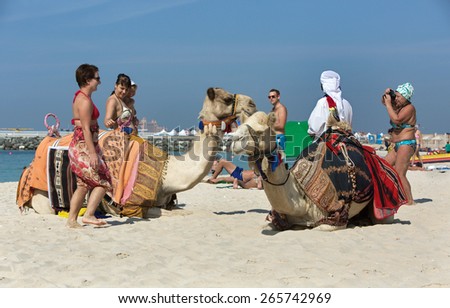 JUMEIRAH BEACH,UNITED ARAB EMIRATES-DECEMBER 6, 2013:People and camels on Jumeirah beach,Dubai,United Arab Emirates