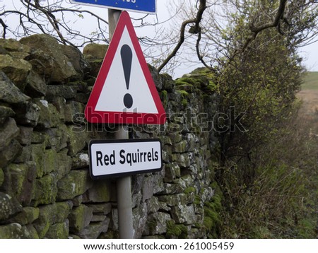 Red Squirrles sign, near Pendragon Castle,near Kirkby Stephen, Cumbria, Britain. taken 11/11/2013