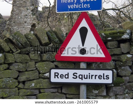 Red Squirrles sign, near Pendragon Castle,near Kirkby Stephen, Cumbria, Britain. taken 11/11/2013