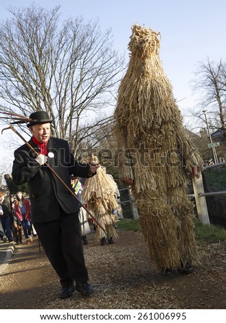 A man dressed in  traditional costume made of straw parades through the streets at the annual Straw Bear Festival, Whittlesey, UK. taken 14/01/2012