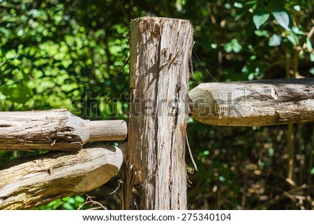 fence post with dark background
