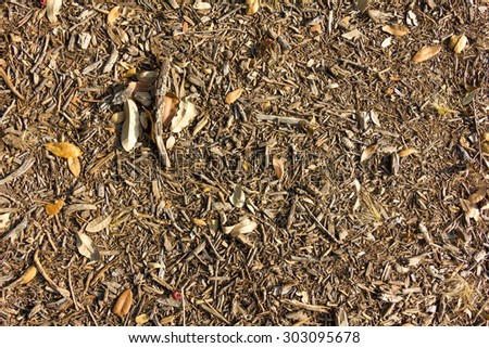 wood chips and tan leaves