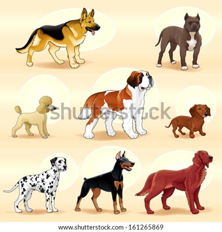Groups Of Dog. Vector Illustration