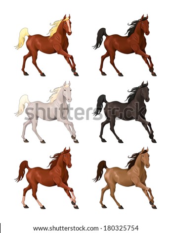 Horses in different colors. Isolated vector animals.