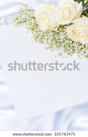 Bouquet of white roses on a white background