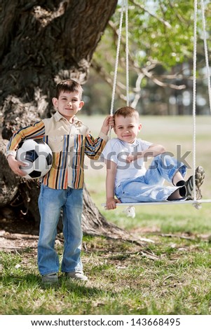 Little boys shake on a swing, adhered to the big tree, in a summer sunny day