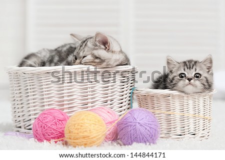 Two cats in a basket with balls of yarn