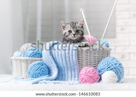 Gray Striped Kitten Sitting Next To A Basket Ball Of Yarn In The Interior
