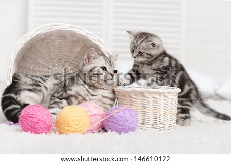 Two cats in baskets with balls of yarn  in the interior