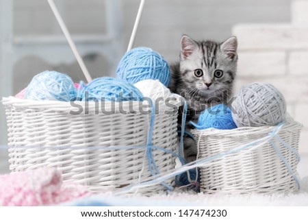Kitten in a basket with balls of yarn