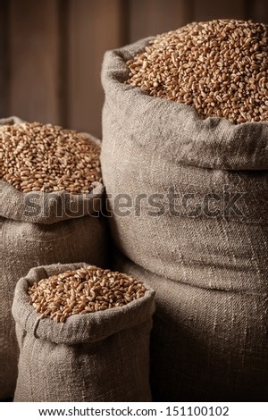 Grain of the wheat in bags