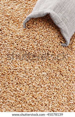 The scattered bag with wheat on a background of a grain
