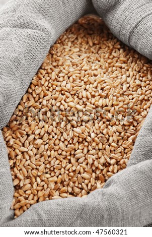 Wheat and bag with a grain