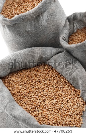 Grain of the wheat in bags on a white background