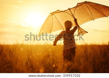 Boy flying a kite in a field at sunset