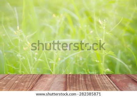 old wooden floor platform on green leaf and flower nature  background