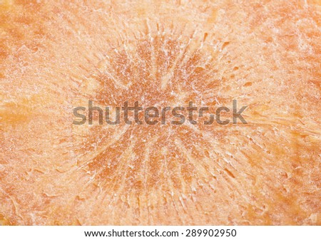 close up of  carrot macro  food background