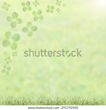 fresh green leaves  natural background,Autumn leaves colors frame, beautiful nature frame