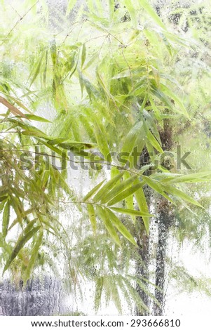 bright colorful bamboo leaves on water drop and ,  green background.
