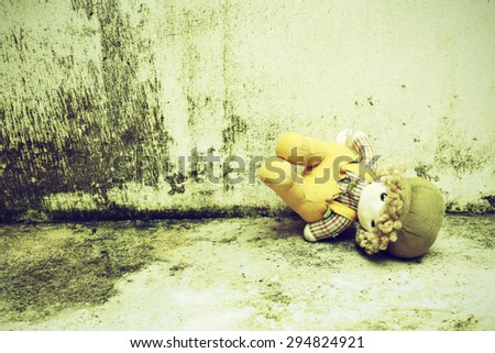 soft toy on the old grunge wall   retro and vintage style Soft focus Process color.