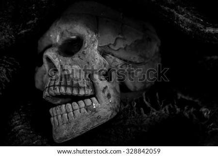 skull in the cloth wrap and blood  over black