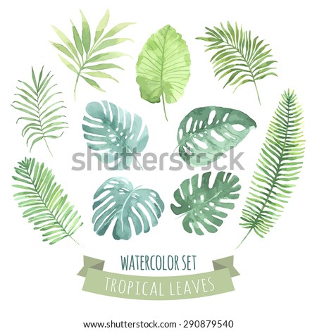 Watercolor set with tropical leaves. Vector element for your design.