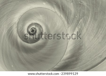spiral black and white spiral