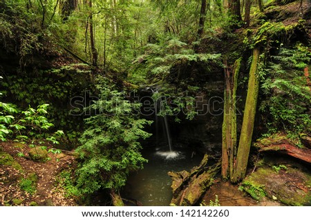 Sempervirens Falls by Big Basin Redwoods State Park