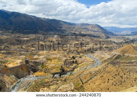 Colca Canyon, Peru, South America. The Incas built farming terraces with pond and cliff. One of the deepest canyons in the world.