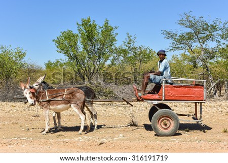 Kunene, Namibia - May 21, 2015: Young african man driving a donkey cart in Kunene, Namibia.