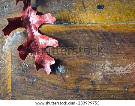 Red autumn leaf on a dirty, damaged, stained with wax, wood table