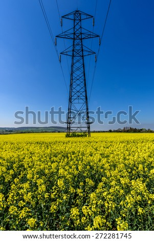 Wonderful view over the blossoming rapeseed fields in the Chiltern Hills of Great Britain . Displaying their vibrant yellow which contrasts perfectly with the deep blue of the sky and the pylons.