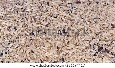 Food background with of rice variety . rice mixture. brown rice