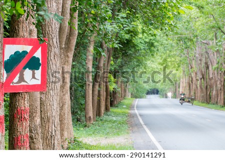 Thailand, Tree lined street in abundance. Trees are not cut down trees to make a road be cool and pleasant.